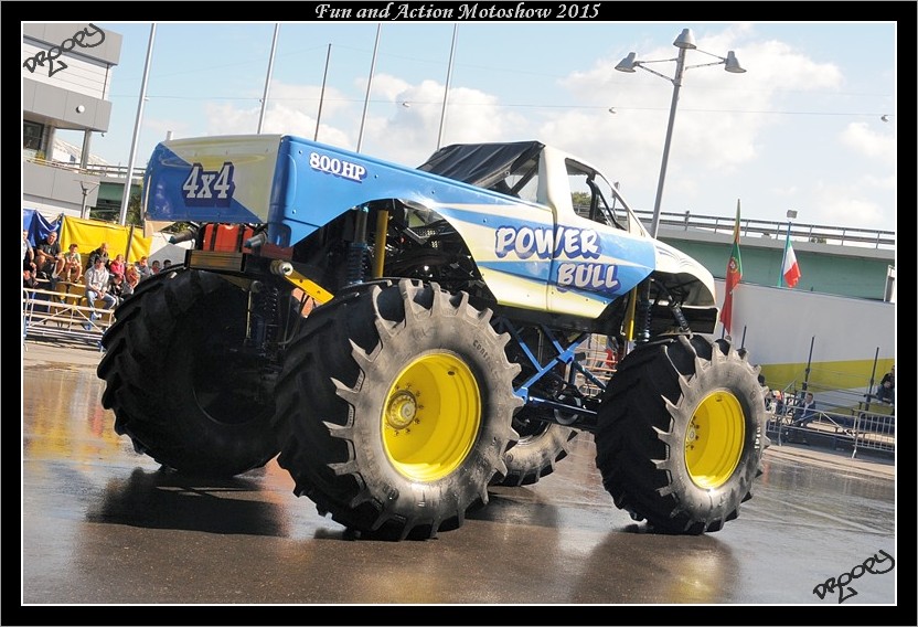 dsc_3113.jpg